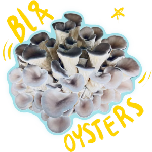 Økologiske Blå Øster