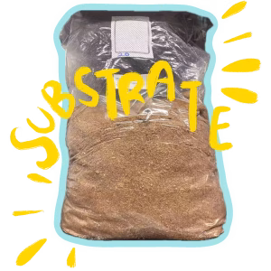 Pasteuriseret Substrate